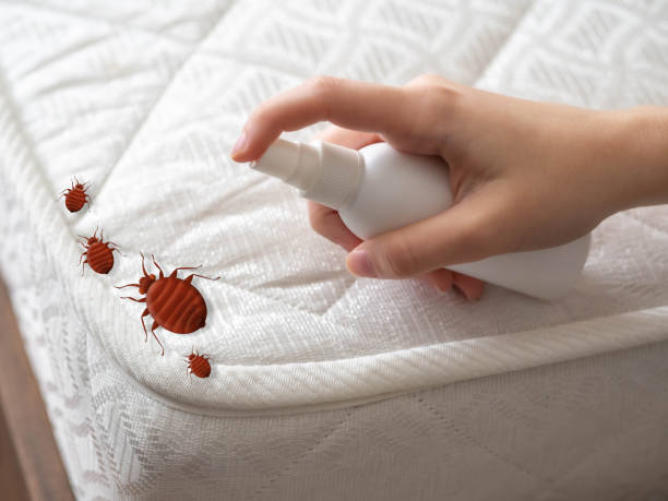 Best Best Pest Control Companies  in Milford Square, PA