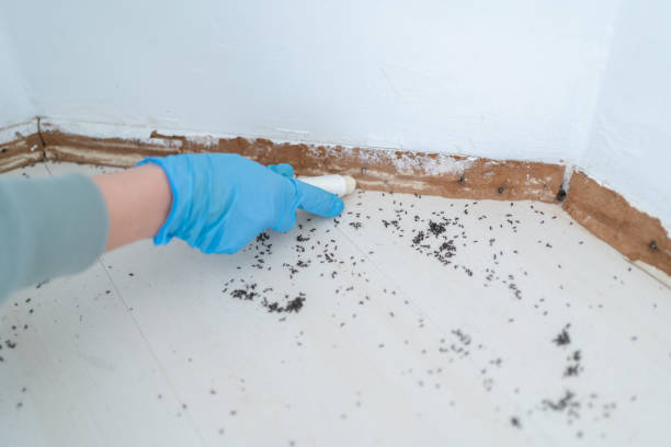 Reliable Milford Square, PA Pest Control Solutions